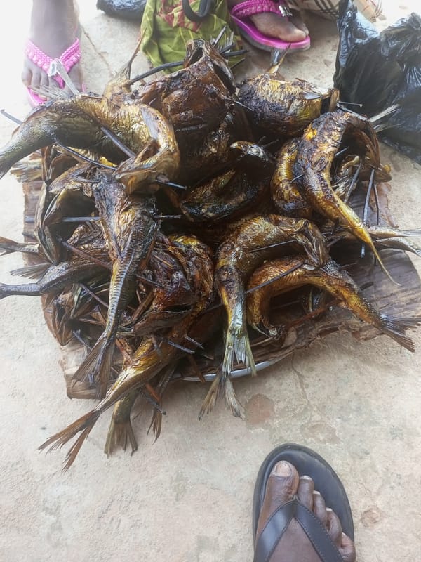 Smoked fish displayed for sale at Onitsha market