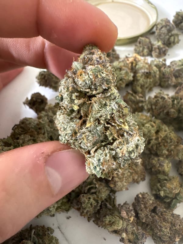 Casual Tel Aviv moments: dog, cannabis, and dining captured