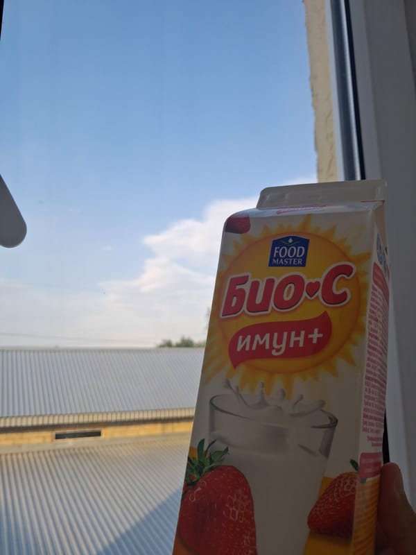 Drinks and rooftops on a sunny afternoon in Taraz