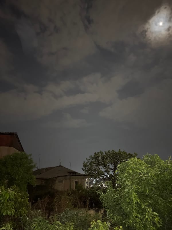 Evening walk documented through moonlit Yerevan streets