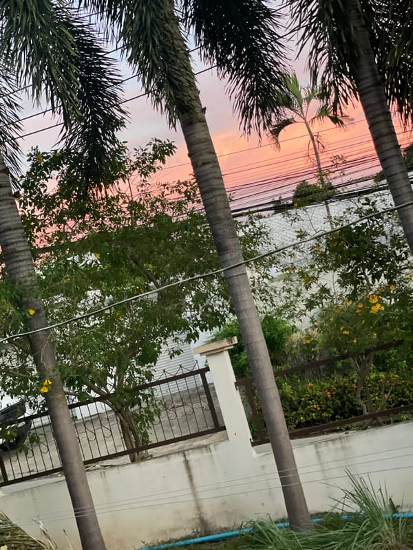 Palm trees against a warm tropical dusk sky.