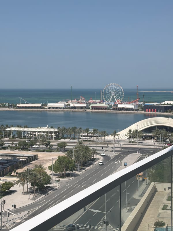 Waterfront city views with amusement park and modern architecture