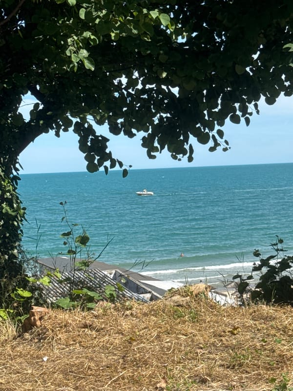 Afternoon in Varna's Sea Garden: wildlife, sea views, and park life