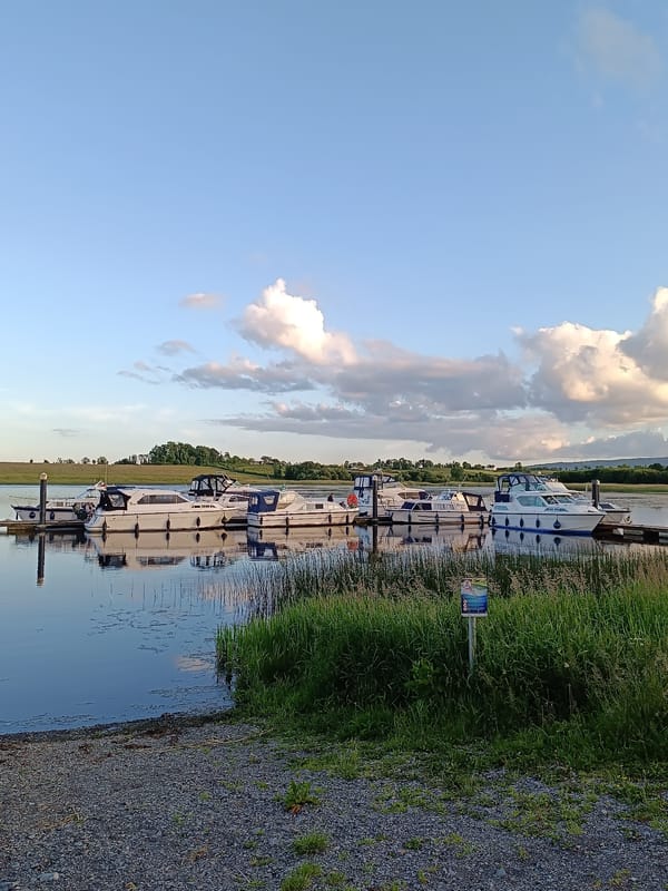 White and blue pleasure boats moored along a quiet dock