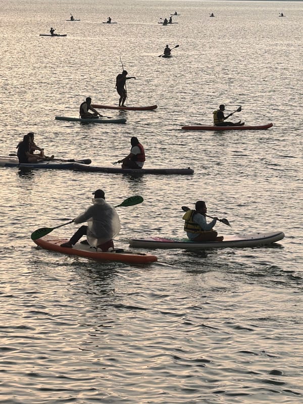 Stand-up paddleboarding group active on Phewa Lake, Pokhara