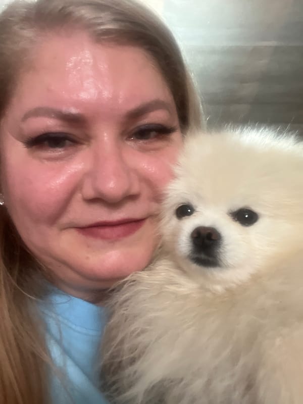Dogs at home and outdoor selfies on a sunny Izhevsk morning