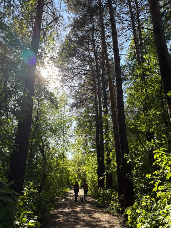 Six-minute walk through Chaikovsky captures forests, railways, streets