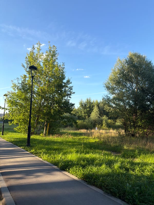 Moscow neighborhood walk: parks, paths, and residential streets