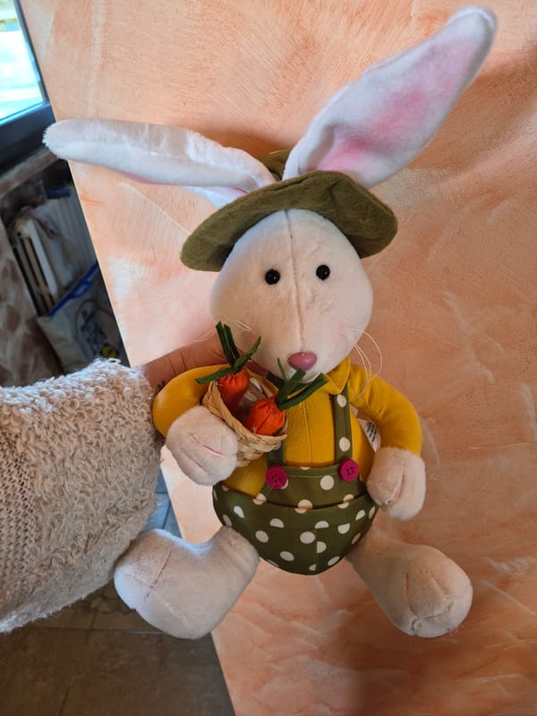 Meal preparation with toy bunny observed in Piennes