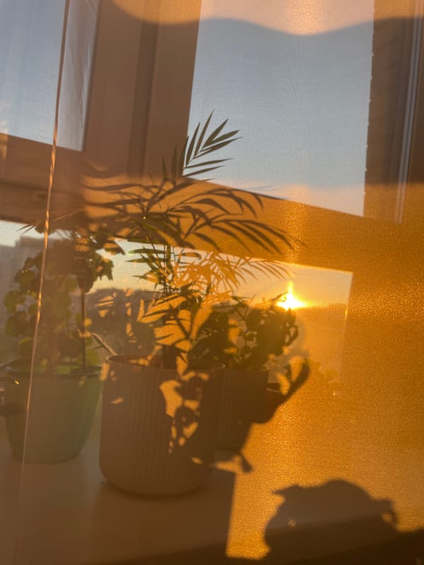 Woman captures golden hour selfies during Izhevsk sunset