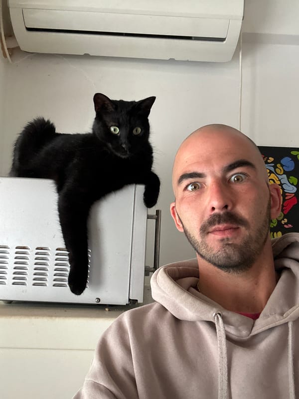 Man photographs himself with two cats in Budva apartment