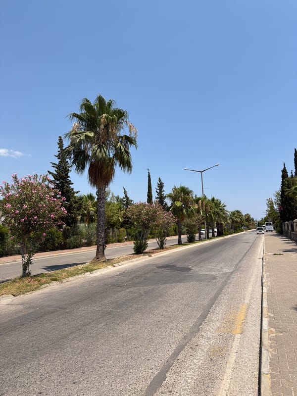 Bus ride through Kemer's sunny streets, July morning
