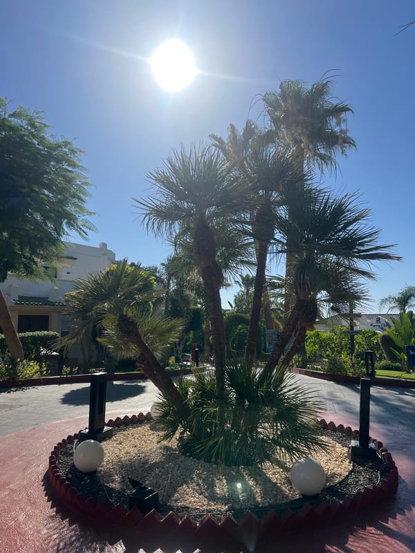 Sharm El Sheikh resort grounds at sunrise, gardens and pathways