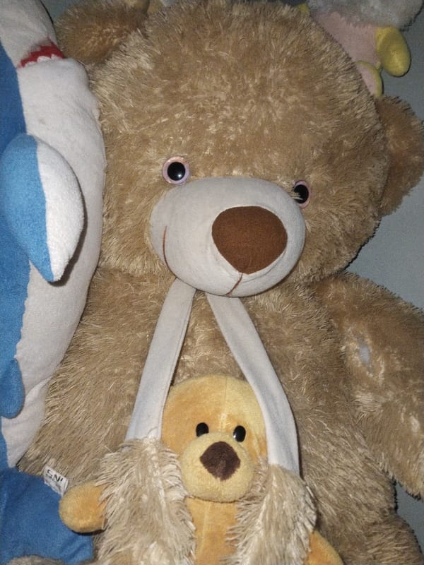 Stuffed animals displayed in Indonesian toy collection