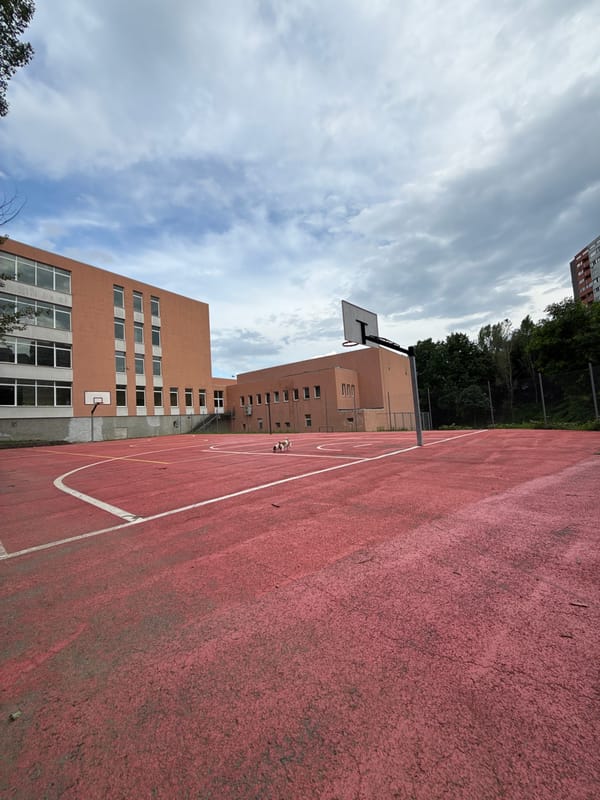Dog walk documented through Gabrovo streets and basketball court