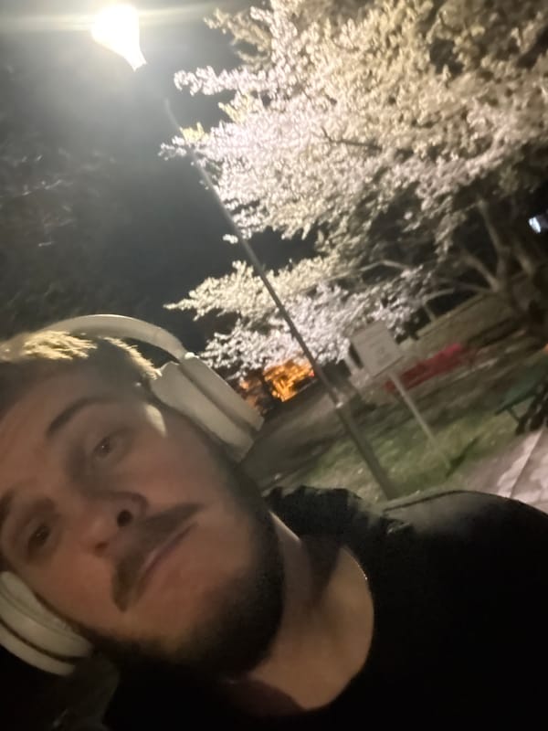 Man photographed under lit trees in Sofia park
