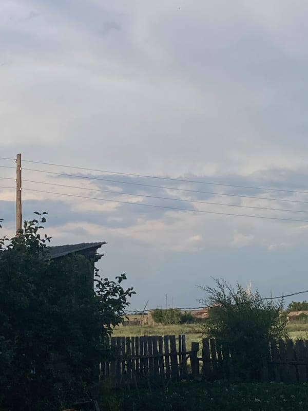 Lazy summer afternoon at a rural Russian homestead