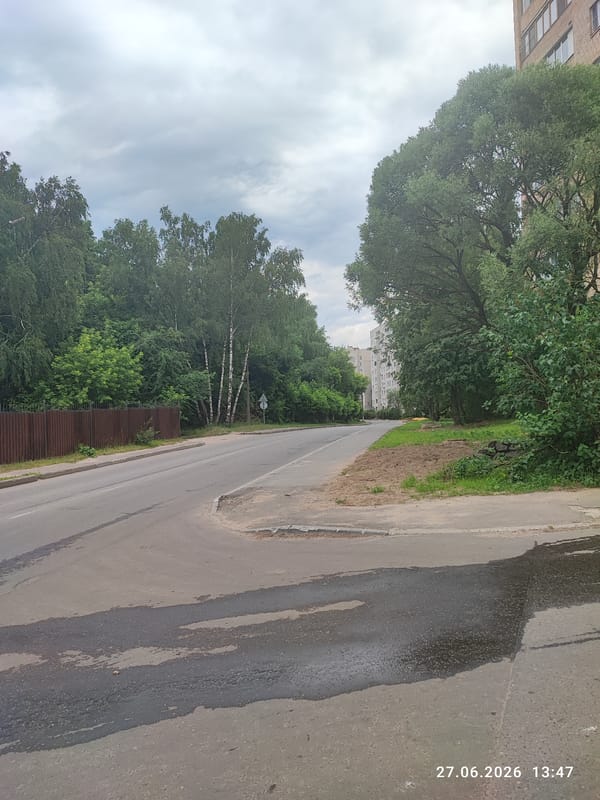 Streets, forest paths, and crossings in Lytkarino