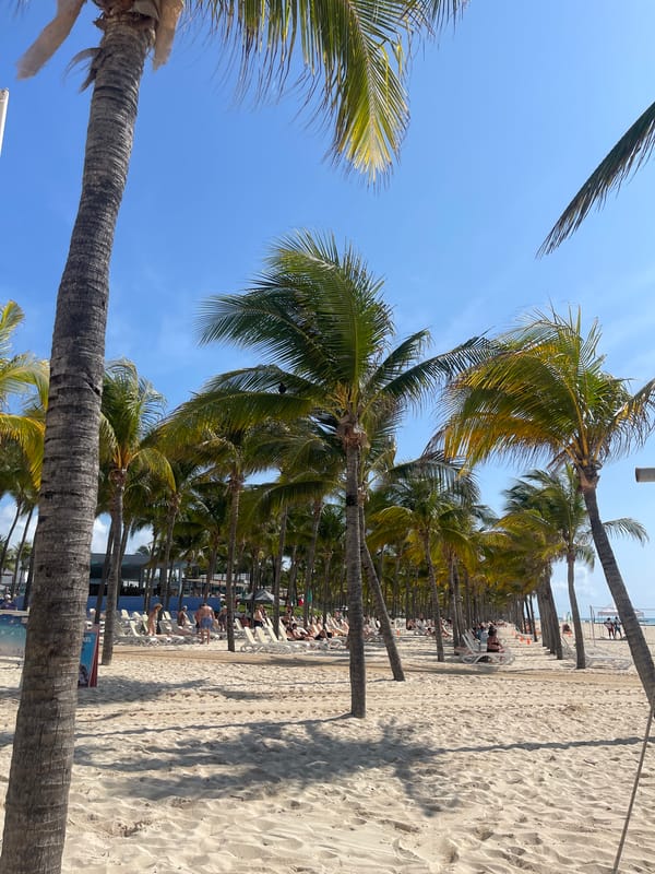 Tourists relax under palm trees at Playa del Carmen beach