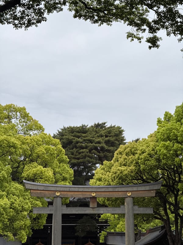Morning visit to Shibuya shrine captured in multiple perspectives