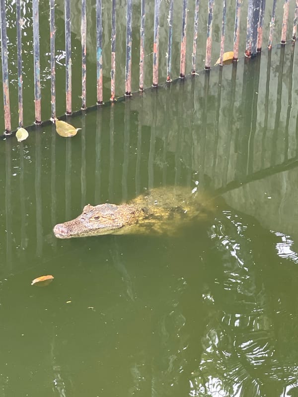 Wildlife tour documented across multiple Caracas parks and zoos