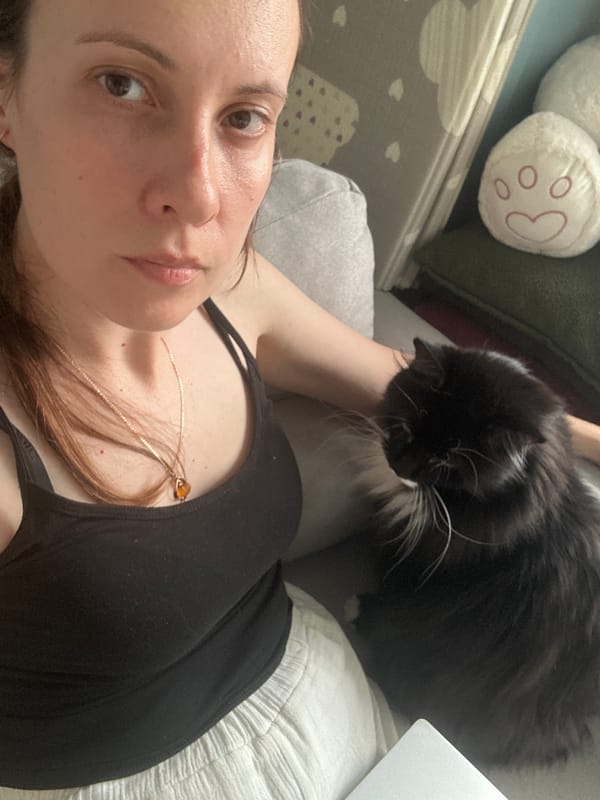 Lazy afternoon in with a cat and a laptop
