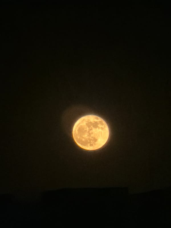 Full moon night over Sharm El Sheikh's lit streets and gardens