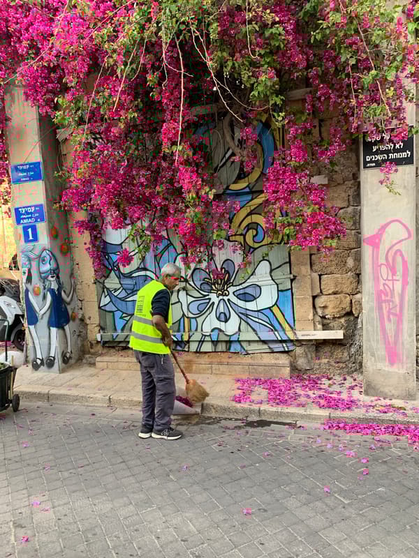 Street cleaner sweeps bougainvillea petals in Tel Aviv alleyway