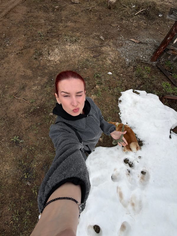 Morning domestic moments captured with woman and Akita puppy