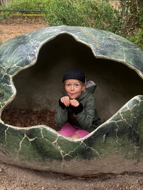 Family visits dinosaur-themed park during rainy morning outing