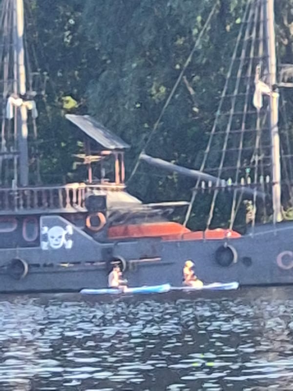 Paddleboarding, sailing, and swimming on a busy summer waterway