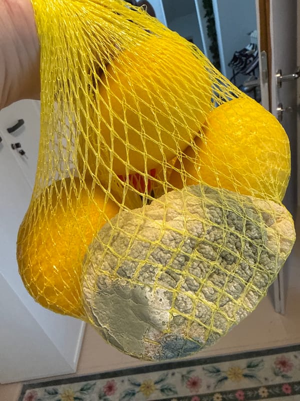 Casual indoor moments captured across Zagreb during Sunday afternoon