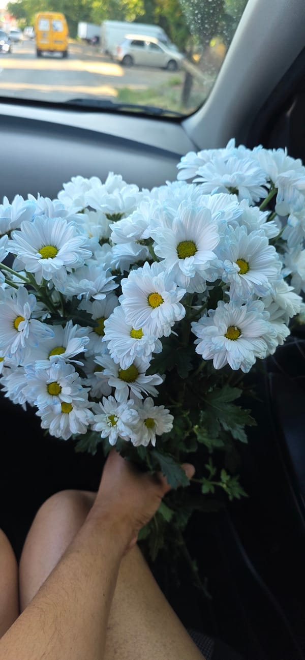 White chrysanthemums held inside a car, Левокумка streets outside