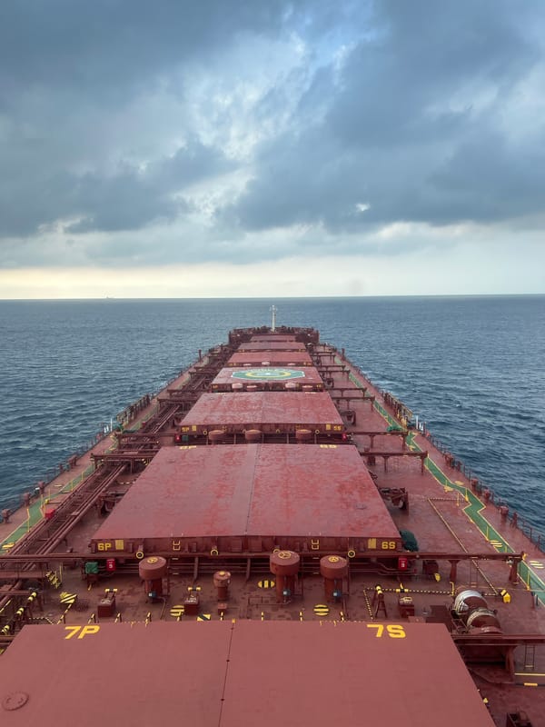 Red bulk carrier at sea, deck hatches and cargo markings visible.