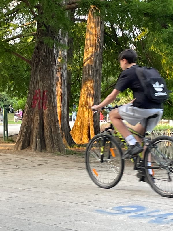 Afternoon park life documented across Novi Sad's green spaces