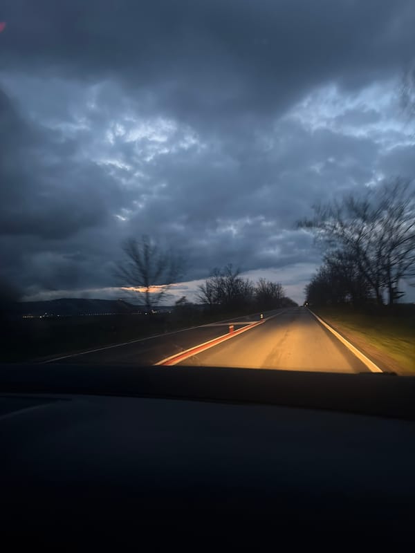 Evening drive captured on tree-lined road in Dibich, Bulgaria