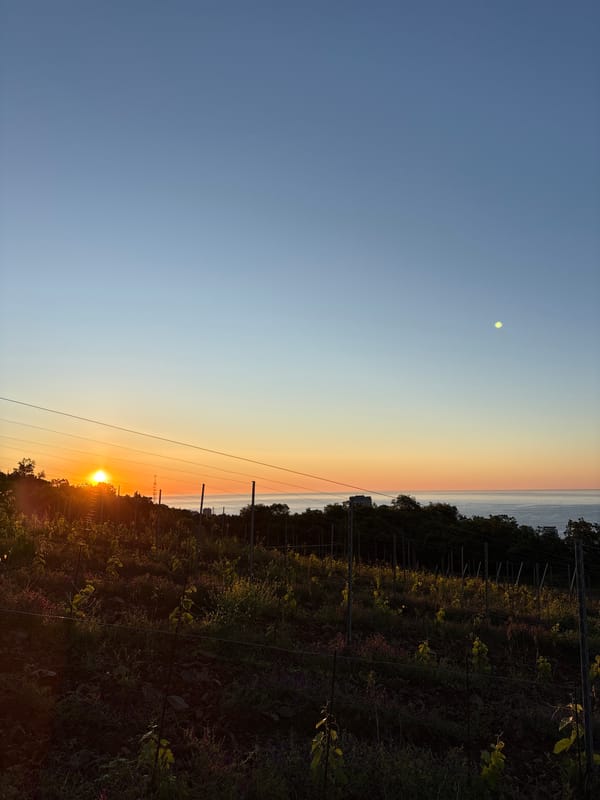Sunset captured over Lavrovoe vineyards and farmland