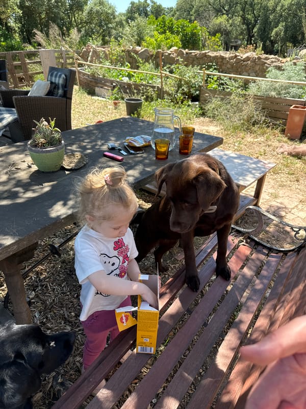 Child feeds dog treats at picnic table in Tossa de Mar