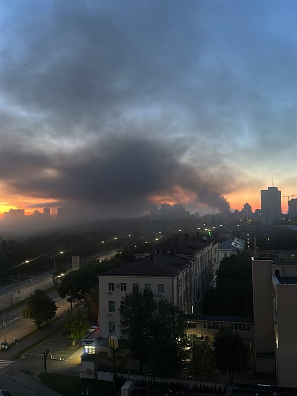Dense smoke plume engulfs city skyline during twilight hours