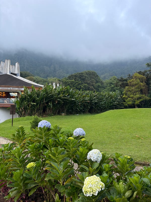 Garden landscapes documented in misty Sukasada, Indonesia morning