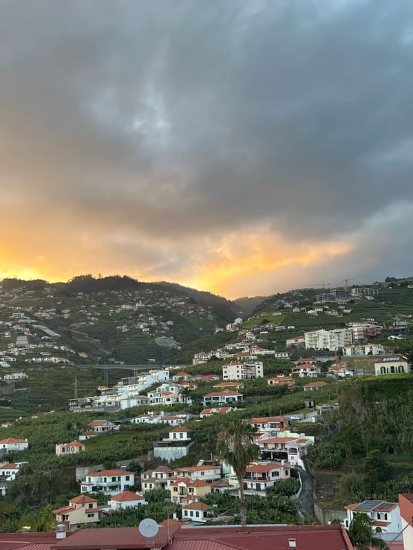 Evening scenes captured across Câmara de Lobos, Portugal