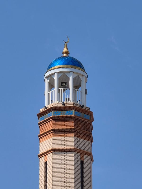 Mosque, plush toys, flowers, and a cat in Kokshetau