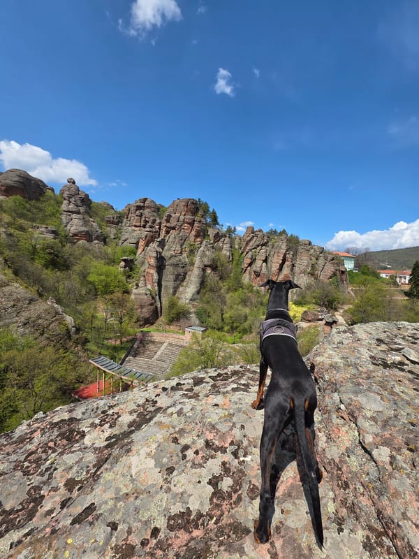 Doberman observed at Bulgaria's Belogradchik Rock formations