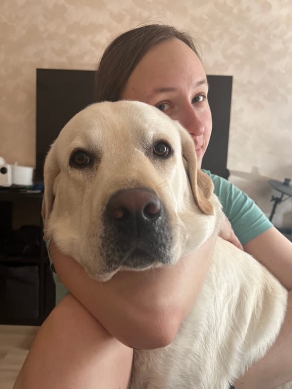 Woman photographs afternoon with Labrador in Mytishchi home
