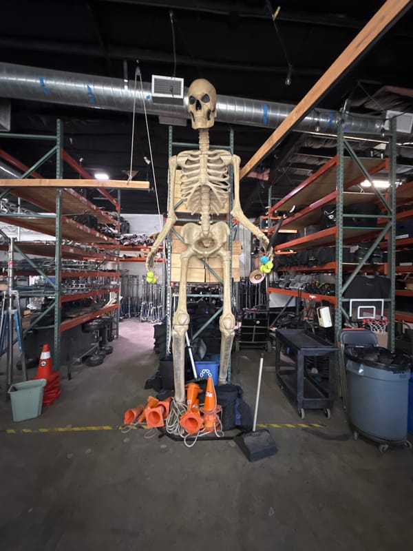 Skeleton display spotted in Burbank warehouse storage area