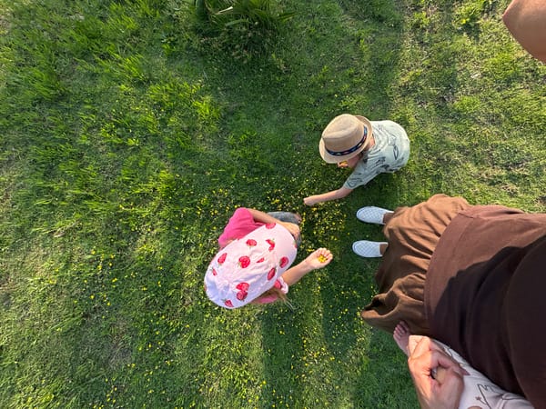 Family enjoys park visit with ducks in Fethiye