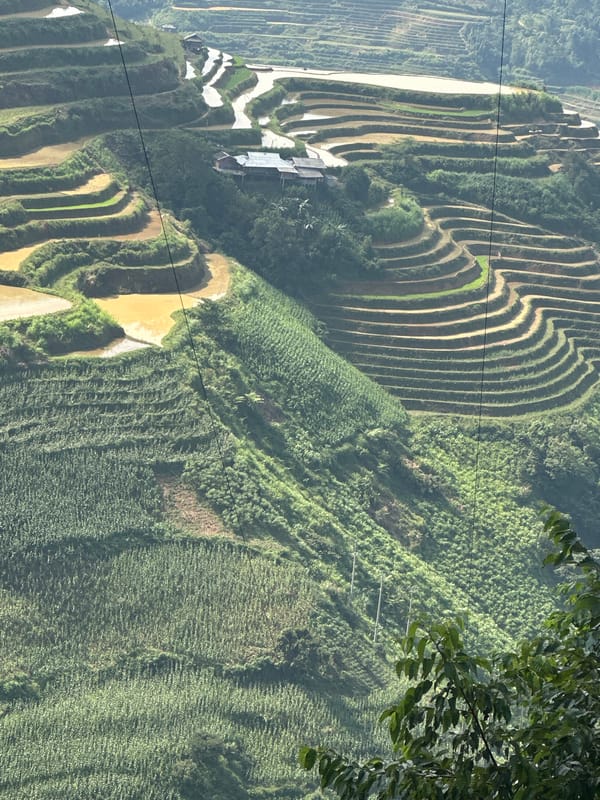 Terraced rice fields documented in northern Vietnam commune