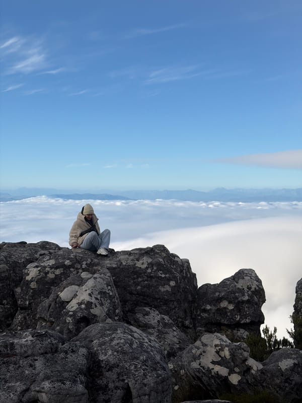 Tourists visit foggy Table Mountain amid wildlife sightings