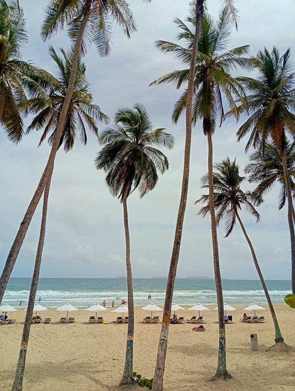 Tourist captures scenes at Venezuela beach resort Playa El Agua
