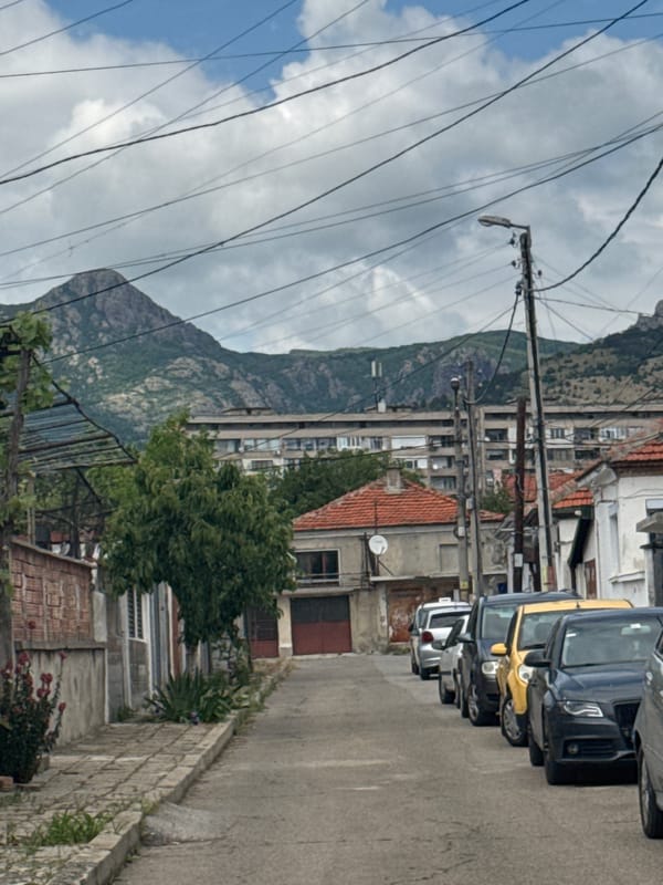 Morning snapshots capture woman, roses, and mountain town streets